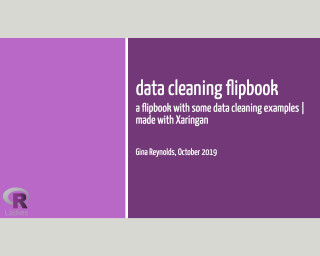 Screenshot of Data Cleaning Flipbook